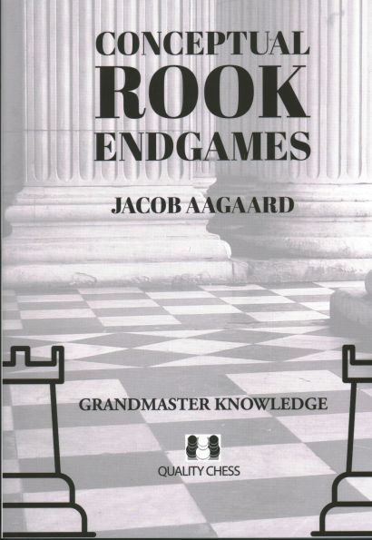 Conceptual Rook Endgames: Grandmaster Knowledge