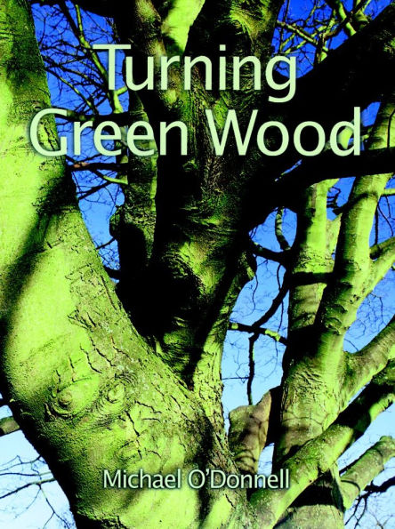 Turning Green Wood: An inspiring introduction to the art of turning bowls from freshly felled, unseasoned wood.