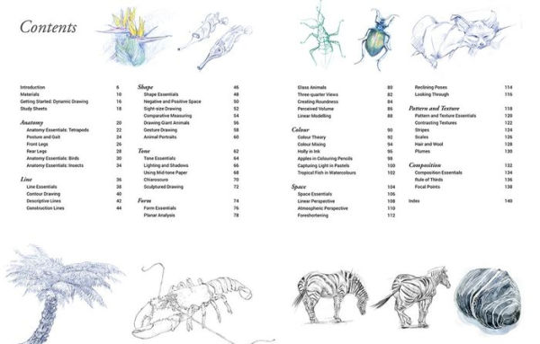 Drawing the Natural World