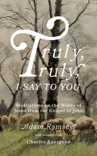 truly, I Say to You: Meditations on the Words of Jesus from Gospel John