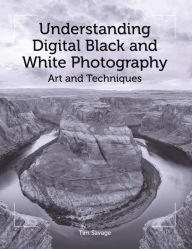 Title: Understanding Digital Black and White Photography: Art and Techniques, Author: Tim Savage