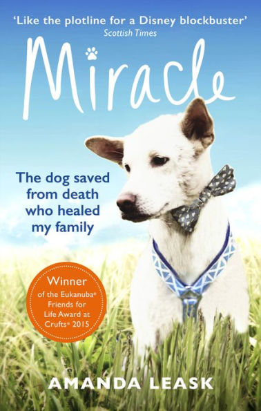 Miracle: The Extraordinary Dog that Refused to Die