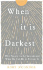When It Is Darkest: Why People Die by Suicide and What We Can Do to Prevent It