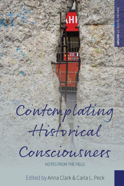 Contemplating Historical Consciousness: Notes from the Field / Edition 1