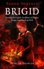 Pagan Portals - Brigid: Meeting The Celtic Goddess Of Poetry, Forge, And Healing Well