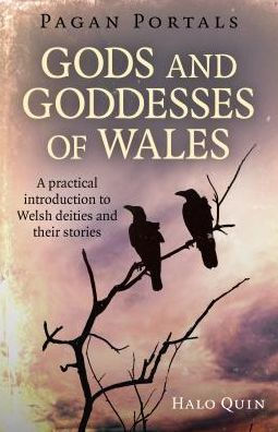 Pagan Portals - Gods and Goddesses of Wales: A Practical Introduction To Welsh Deities And Their Stories