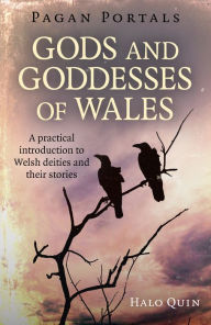 Title: Pagan Portals - Gods and Goddesses of Wales: A Practical Introduction To Welsh Deities And Their Stories, Author: Halo Quin