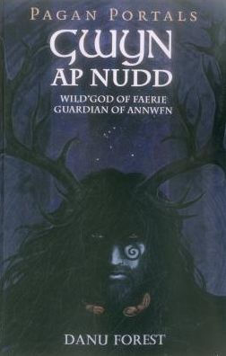 Pagan Portals - Gwyn ap Nudd: Wild God of Faery, Guardian Annwfn