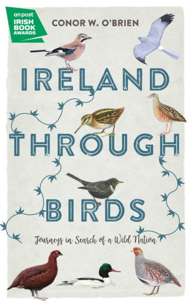 Ireland Through Birds: Journeys Search of a Wild Nation