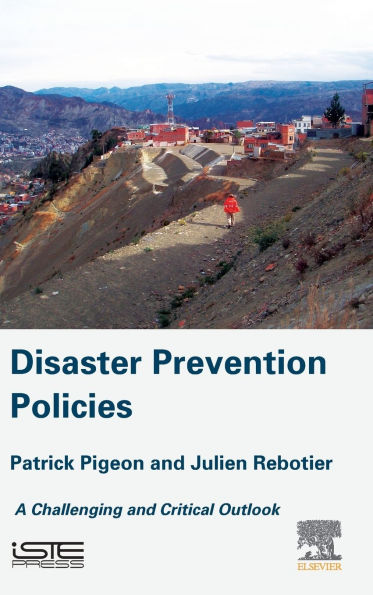 Disaster Prevention Policies: A Challenging and Critical Outlook