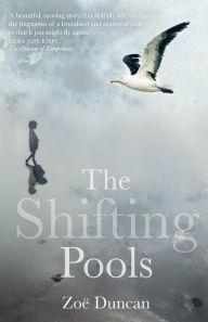 Title: The Shifting Pools, Author: Damiano Michieletto