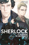 Alternative view 1 of Sherlock: A Scandal in Belgravia Part 2