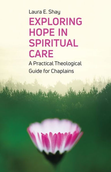 Exploring Hope Spiritual Care: A Practical Theological Guide for Chaplains