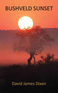 Title: Bushveld Sunset, Author: David James Dixon