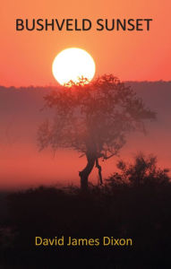 Title: Bushveld Sunset, Author: David James Dixon