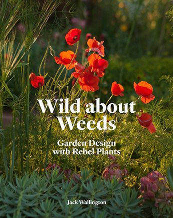 Wild about Weeds: Garden Design with Rebel Plants (Learn how to design a sustainable garden by letting weeds flourish without taking control)