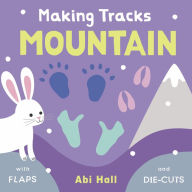 Title: Mountain, Author: Abi Hall