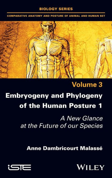 Embryogeny and Phylogeny of the Human Posture 1: A New Glance at Future our Species