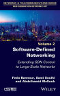 Software-Defined Networking 2: Extending SDN Control to Large-Scale Networks