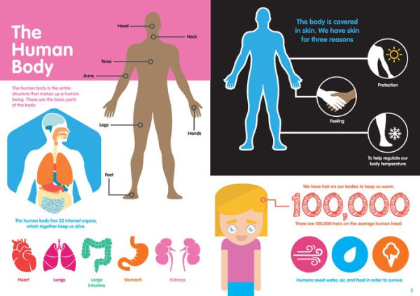 Human Body Infographics