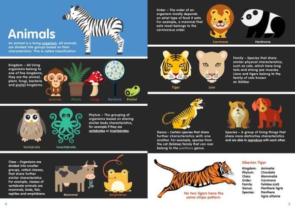 by　Harriet　Animals　Brundle,　Barnes　Infographics　Paperback　Noble®