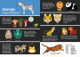 Alternative view 4 of Animals Infographics