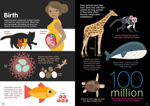 Animals Infographics