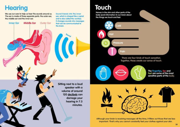 Human Body Infographics