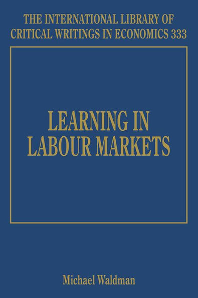 Learning in Labour Markets