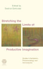Stretching the Limits of Productive Imagination: Studies in Kantianism, Phenomenology and Hermeneutics