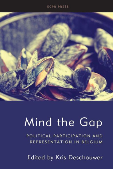 Mind the Gap: Political Participation and Representation Belgium