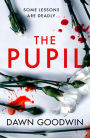 The Pupil: An unforgettable psychological thriller with a shocking twist perfect for summer reading