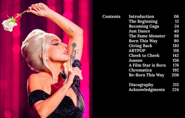 Lady Gaga: Applause