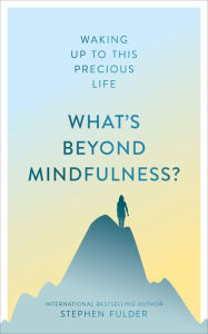 Title: What's Beyond Mindfuless?, Author: Stephen Fulder