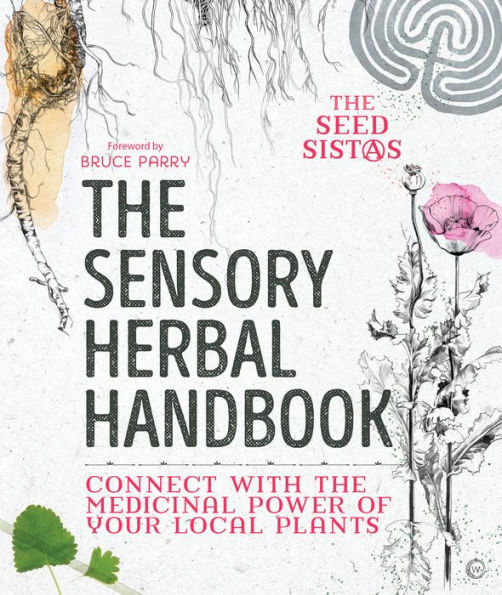 the Sensory Herbal Handbook: Connect with Medicinal Power of Your Local Plants