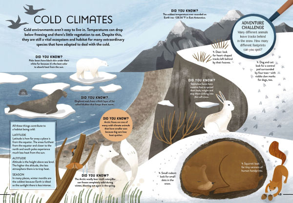 How to be an Eco Explorer: Fun Activities for Exploring Nature and Saving the Planet