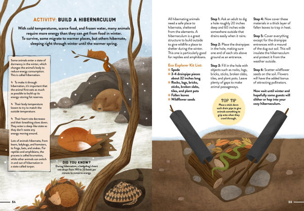 How to be an Eco Explorer: Fun Activities for Exploring Nature and Saving the Planet