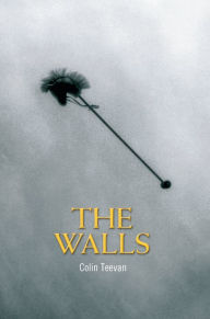 Title: The Walls, Author: Colin Teevan