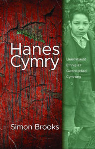 Title: Hanes Cymry: Lleiafrifoedd Ethnig a'r Gwareiddiad Cymraeg, Author: Simon Brooks