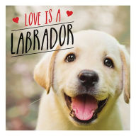 Title: Love Is A Labrador: A Lab-Tastic Celebration of the World's Favourite Dog, Author: Charlie Ellis