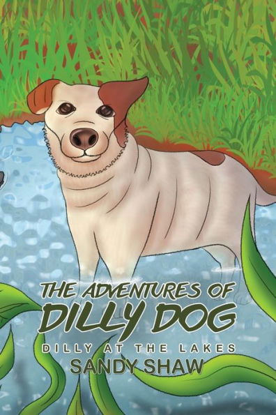 The Adventures of Dilly Dog: Dilly at the Lakes