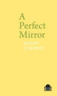 A Perfect Mirror
