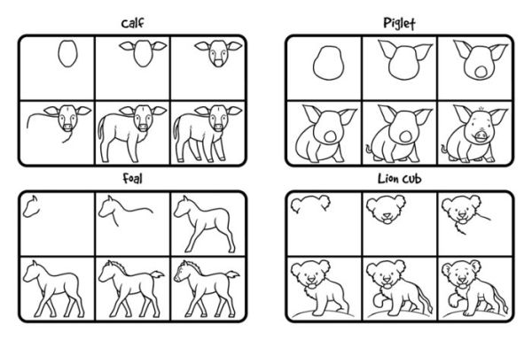 how to draw animals step by step - Barnett Gallery