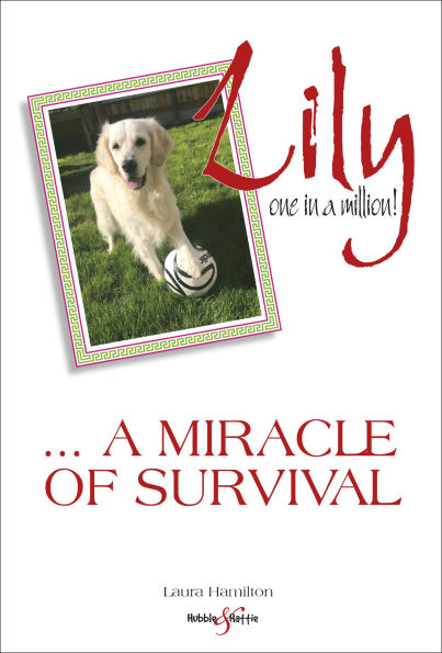 Lily: One A Million: ... Miracle of Survival