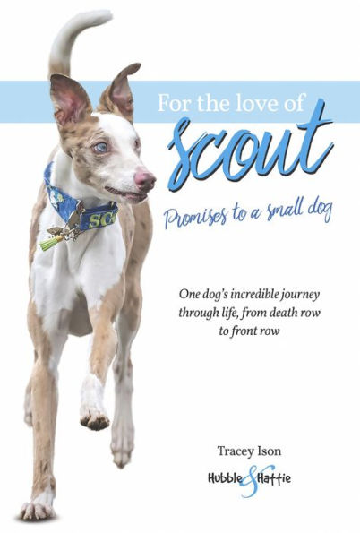 For the love of Scout: Promises to a small dog