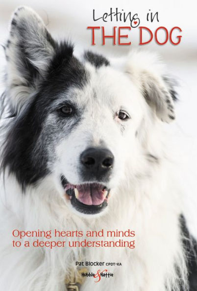 Letting in the Dog: Opening Hearts and Minds to a Deeper Understanding