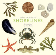 Title: The Little Guide to Shorelines, Author: Alison  Davies