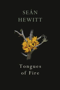 Title: Tongues of Fire, Author: Seán Hewitt