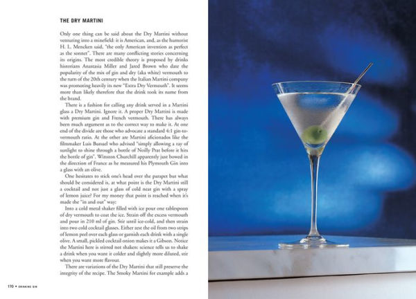 Gin: The Essential Guide for Gin Aficionados