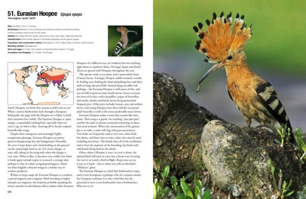 100 Birds to See in Your Lifetime: The Ultimate Wish-List for Birders Everywhere